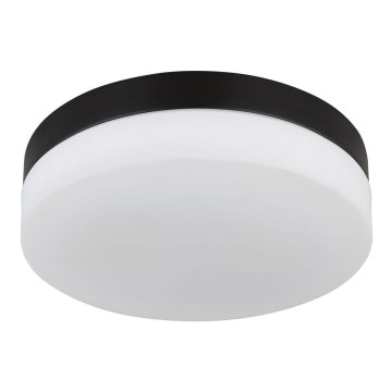 Globo - Osvetljenje za kupatilo 2xE27/60W/230V pr. 24 cm IP44