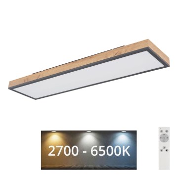 Globo - prigušiva stropna LED svetiljka LED/24W/230V 2700-6500K + daljinski upravljač