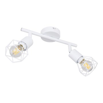 Globo - Reflektorska lampa 2xE14/40W/230V