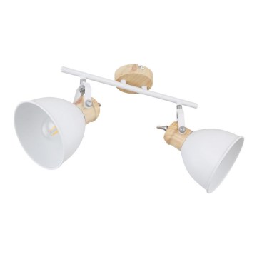 Globo - Reflektorska lampa 2xE27/40W/230V