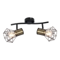 Globo - Reflektorska lampa 2xE27/40W/230V