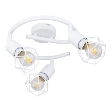 Globo - Reflektorska lampa 3xE14/40W/230V