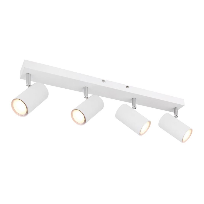Globo - Reflektorska lampa 4xGU10/35W/230V bela