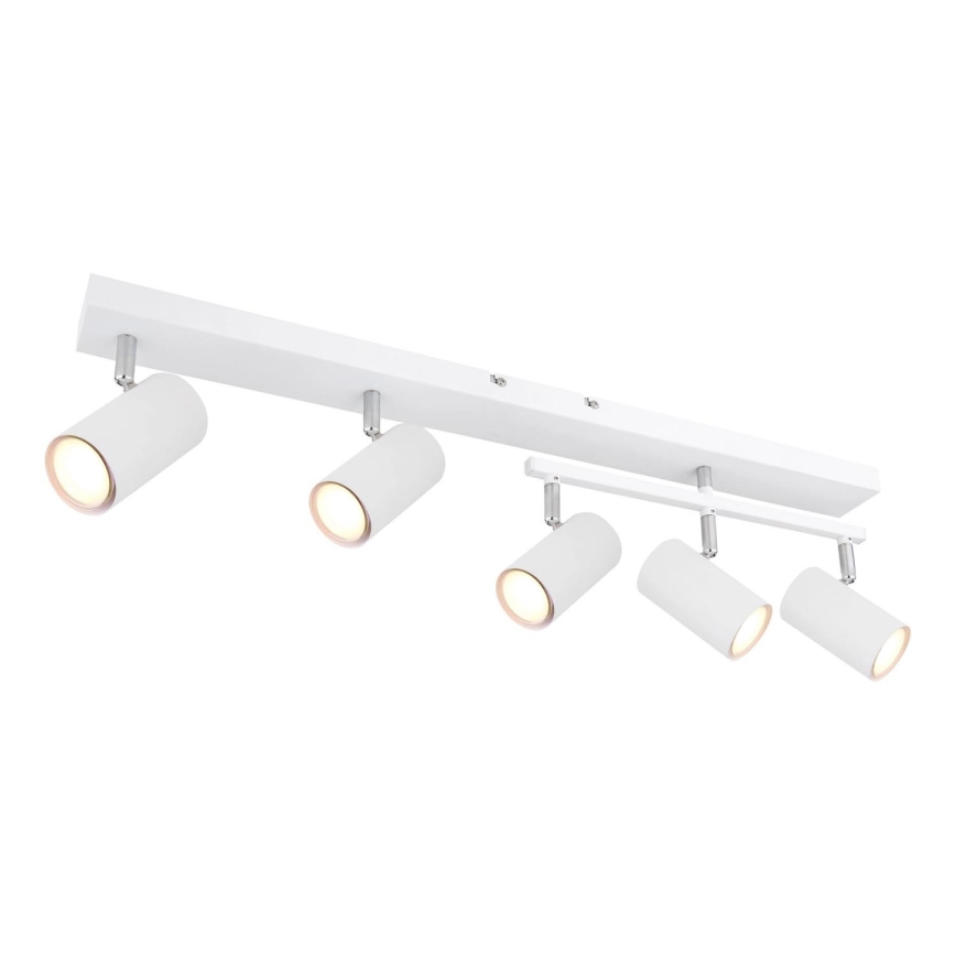 Globo - Reflektorska lampa 5xGU10/35W/230V bela