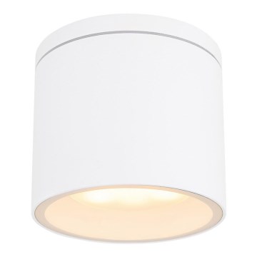 Globo - Spoljašnja plafonjera 1xGX53/11W/230V IP44