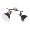 Globo - Spot svetiljka 2xE27/40W/230V
