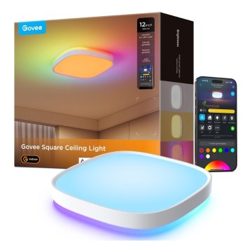 Govee - LED RGBIC Prigušiva plafonjera LED/24W/230V 2700-6500K Wi-Fi