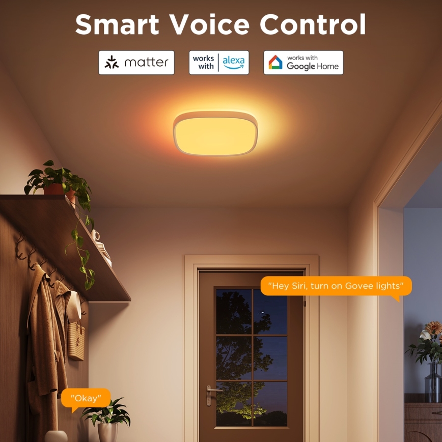 Govee - LED RGBIC Prigušiva plafonjera LED/24W/230V 2700-6500K Wi-Fi