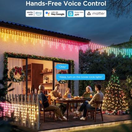 Govee - LED RGBIC Spoljašnji lanac Smart stalaktiti 10m Wi-Fi Matter IP65
