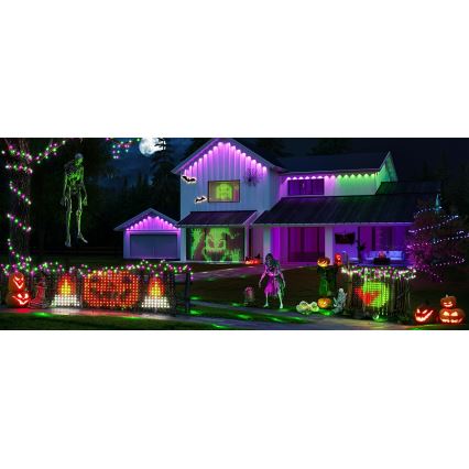 Govee - LED RGBIC Spoljna svetlosna mreža 143x85cm Wi-Fi Matter IP65