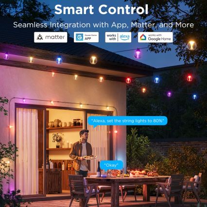 Govee - LED RGBICW Prigušivi spoljni dekorativni lanac LED/24W/230V IP67 2700-6500K Wi-Fi