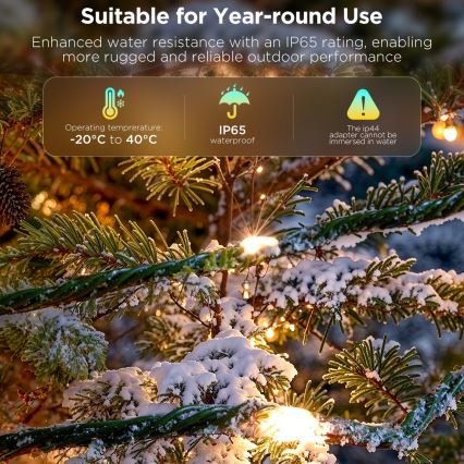Govee - LED RGBICW Spoljašnji božićni niz 2700-6500K 20m Wi-Fi Matter IP66