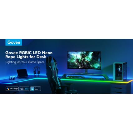 Govee - Neon LED pozadinsko osvetljenje za sto 3m RGBIC Wi-Fi