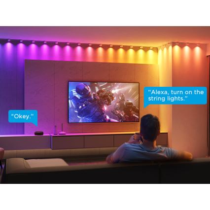 Govee - RGBIC LED Lančana ugradna svetla 3m Wi-Fi