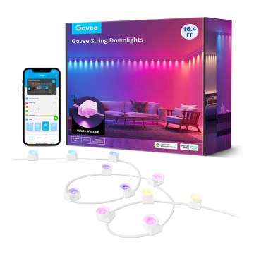 Govee - RGBIC LED niz visećih svetiljki 5m Wi-Fi