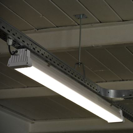 Greenlux GXWP381 - LED Radna linearna lampa DUST PROFI MILK LED/53W/230V 4000K IP66
