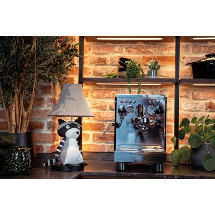Happy Lamps - LED Dečija stona lampa BEN LED/5,4W/230V rakun