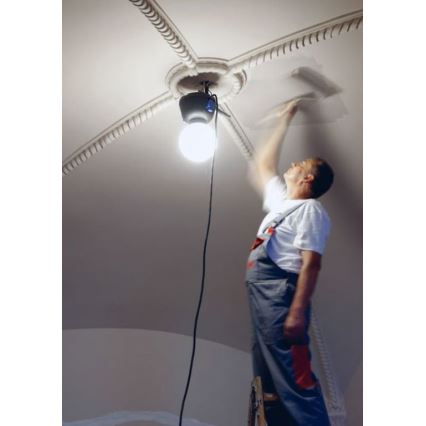 Helios 306-WLG223 - LED Vanjska tehnička rasveta WORK GLOBE 2 LED/23W/230V