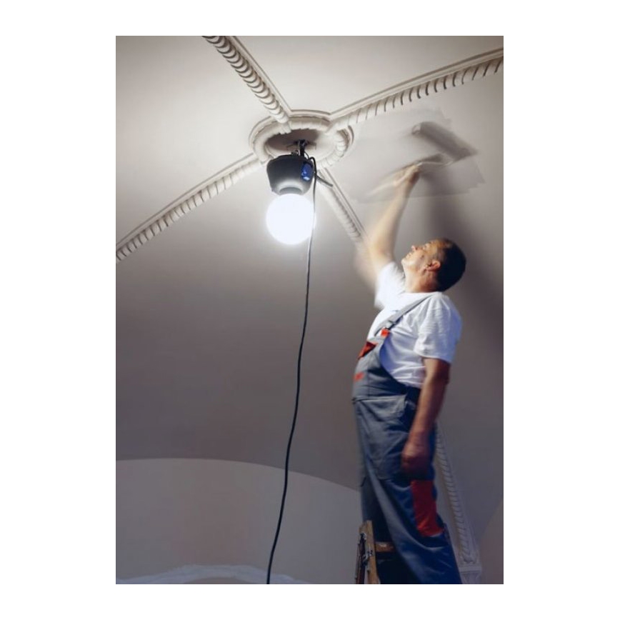 Helios 306-WLG223 - LED Vanjska tehnička rasveta WORK GLOBE 2 LED/23W/230V