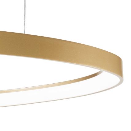 Ideal Lux - LED luster na sajli GEMINI LED/48W/230V pr. 61 cm CRI 90 zlatna