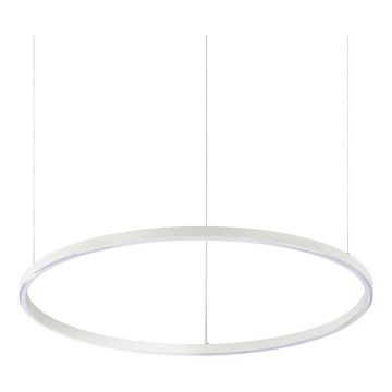 Ideal Lux - LED luster na sajli ORACLE SLIM LED/38W/230V 3000K pr. 70 cm bela