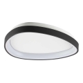 Ideal Lux - LED Plafonjera GEMINI LED/23W/230V pr. 42,5 cm CRI 90 crno