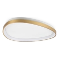 Ideal Lux - LED Plafonjera GEMINI LED/30W/230V pr. 61 cm CRI 90 zlatna