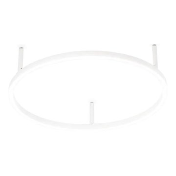 Ideal Lux - LED Plafonjera ORACLE SLIM LED/29W/230V 2700K pr. 50 cm bela