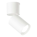Ideal Lux - LED Reflektorska lampa TOBY 1xGU10/7W/230V CRI 90 bela