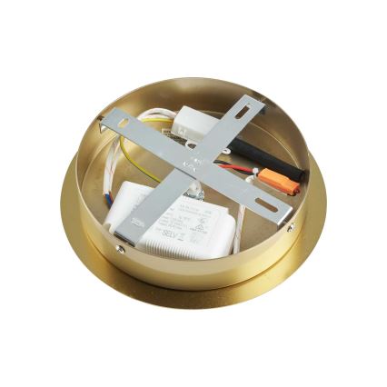 Ideal Lux - LED Viseći luster EQUINOXE 12xG4/2W/230V pr. 124 cm mesing/prozirna