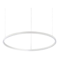 Ideal Lux - ORACLE SLIM LED prigušiva luster na sajli, 39W, 230V, 3000K, prečnik 70 cm, bela