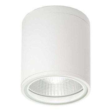 Ideal Lux - Reflektorska lampa za kupatilo GUN 1xGU10/28W/230V IP44 bela