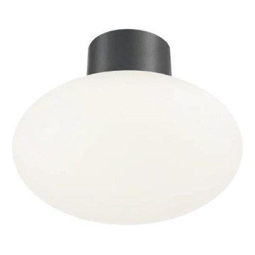 Ideal Lux - Spoljašnja plafonjera CLIO 1xE27/42W/230V IP44 antracit