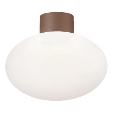 Ideal Lux - Spoljašnja plafonjera CLIO 1xE27/42W/230V IP44 braon