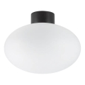 Ideal Lux - Spoljašnja plafonjera CLIO 1xE27/42W/230V IP44 crno