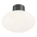 Ideal Lux - Spoljašnja plafonska svetiljka CLIO 1xE27/42W/230V IP44 antracit