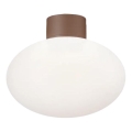 Ideal Lux - Spoljašnja plafonska svetiljka CLIO 1xE27/42W/230V IP44 braon