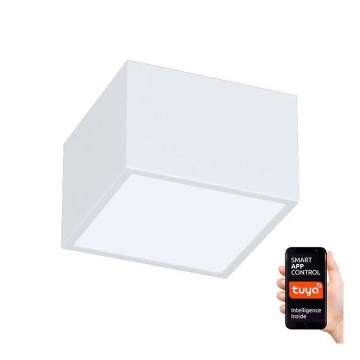 Immax NEO 07072L-15 - LED Prigušivo svetlo CANTO LED/12W/230V bela Tuya