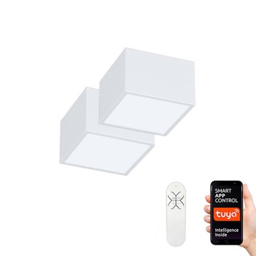 Immax Neo 07072L-15BD - Set 2x LED Prigušiva plafonjera CANTO 2xLED/12W/230V + Daljinski upravljač Tuya
