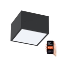 Immax NEO 07074L-15 - LED Prigušivo svetlo CANTO LED/12W/230V crno Tuya