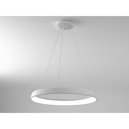 Immax NEO 07079L-80 - LED prigušiva luster na sajli LIMITADO LED/48W/230V 80 cm Tuya + daljinski upravljač