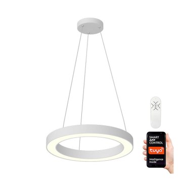 Immax NEO 07091L - LED Prigušivi luster na sajli PASTEL LED/52W/230V 60 cm beli Tuya