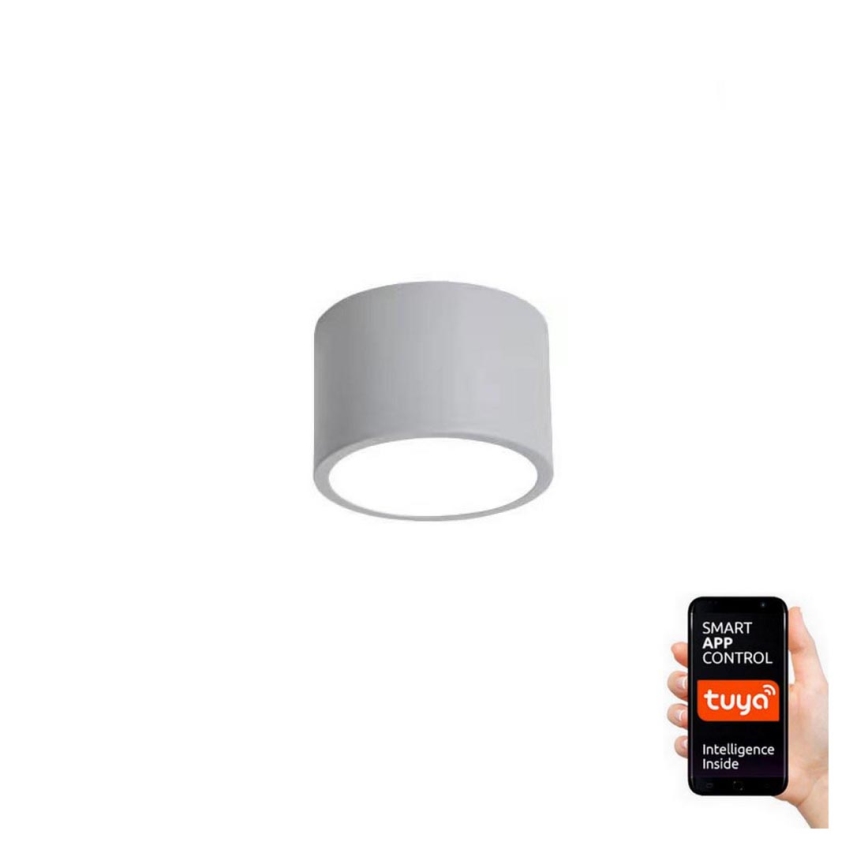 Immax NEO 07143-GR15X - LED Prigušiva plafonjera RONDATE LED/12W/230V Tuya sivo