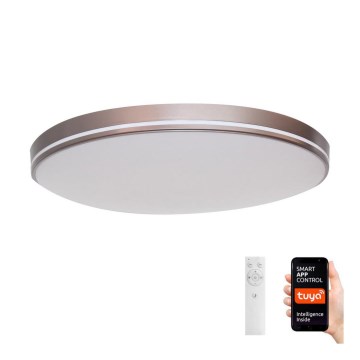 Immax NEO 07150-C40 - LED stropno svetlo (prigušiva) NEO LITE AREAS LED/24W/230V Tuya Wi-Fi braon + daljinski upravljač
