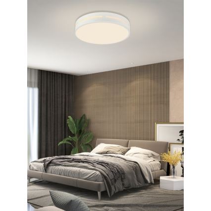 Immax NEO 07153-W30 - LED prigušiva stropna svetiljka NEO LITE PERFECTO LED/24W/230V Wi-Fi Tuya bela + daljinsko upravljanje