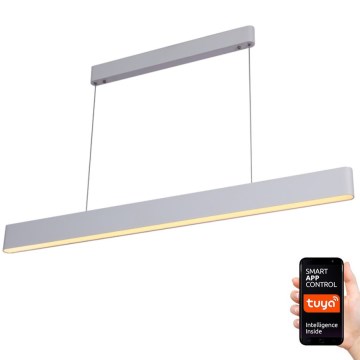 Immax NEO 07157-W120X - LED RGB+CCT Prigušivi luster na sajli MILANO LED/40W/230V Tuya bela