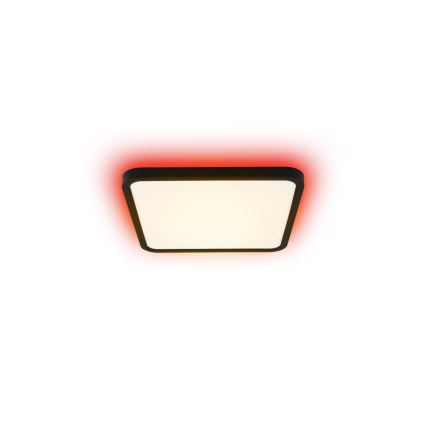 Immax NEO 07167-B40 - LED RGB+CCT prigušiva plafonsko svetlo NEO LITE TUDO LED/50W/230V Wi-Fi Tuya crna + daljinski upravljač