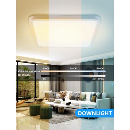Immax NEO 07168-W40 - LED RGB+CCT prigušiva stropna svetiljka NEO LITE TUDO LED/50W/230V Wi-Fi Tuya bela + daljinski upravljač