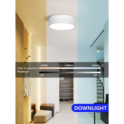 Immax NEO 07204L - LED Prigušiva plafonjera RONDATE LED/18W/230V 3000-6000K bela Tuya + Daljinski upravljač