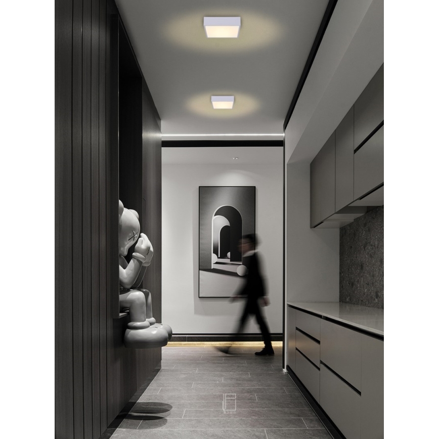 Immax NEO 07238L - LED Prigušiva plafonjera CANTO LED/22W/230V bela Tuya + Daljinski upravljač